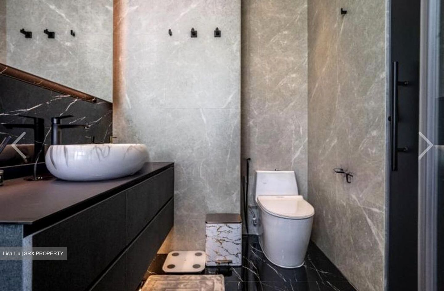 Park Green (D19), Condominium #497092641